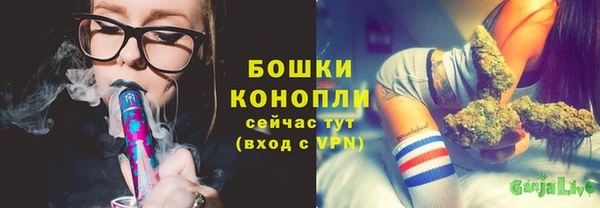 СК Ельня