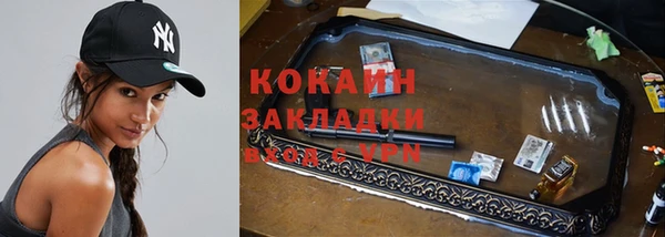 СК Ельня