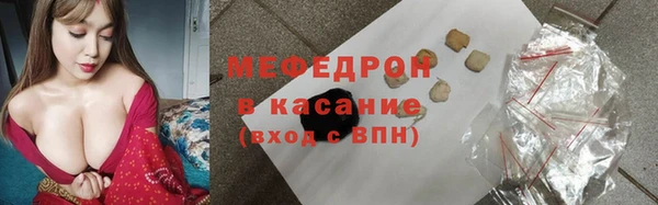 СК Ельня