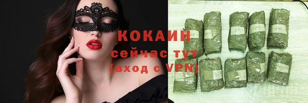 не бодяженный Заводоуковск