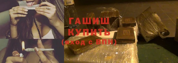СК Ельня