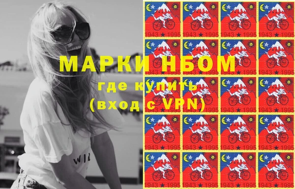 СК Ельня