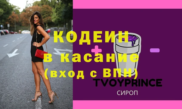 СК Ельня