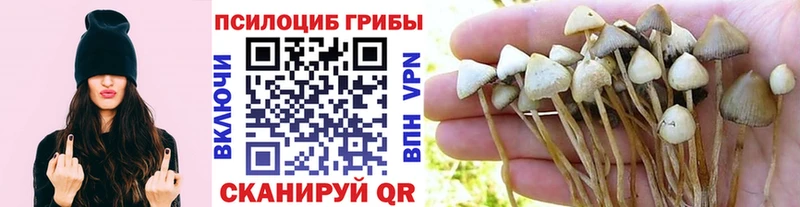 Галлюциногенные грибы GOLDEN TEACHER  Ирбит 